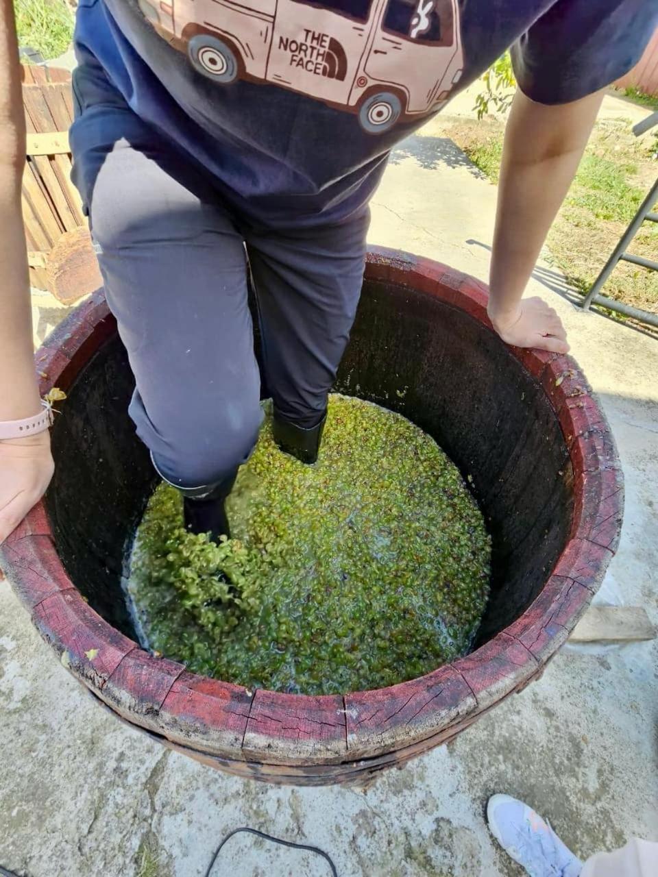 Guesthause Bagdati Zewnętrze zdjęcie